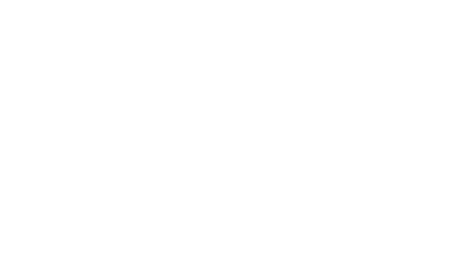Rochester Finger Lakes Film Commission
